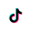 online marketing platform animation tiktok